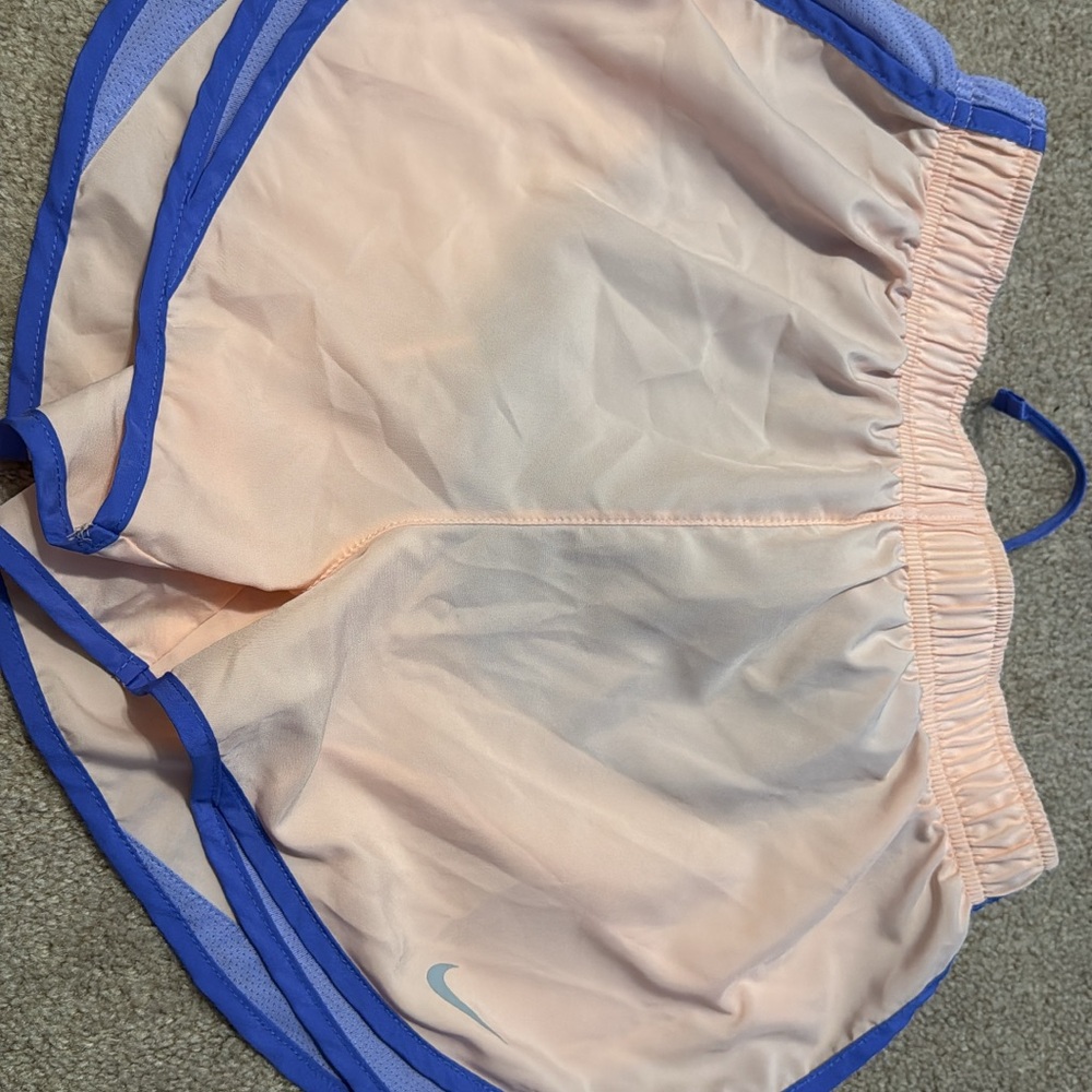 Nike Light Pink and Blue Running Shorts
